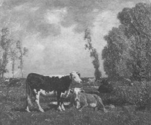 Cattle Resting In A Field