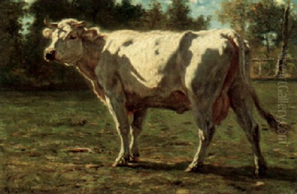 White Bull In Landscape - view 1