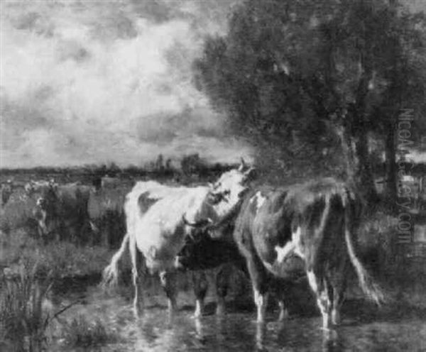 Vaches Dans Un Ruisseau - view 1