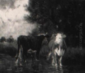 Cattle Standing In A Stream Cattle Standing In A Stream