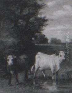 Cattle Standing At Pasture Cattle Standing At Pasture