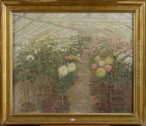 La Serre Aux Chrysanthemes