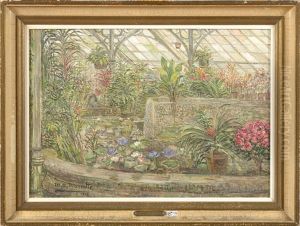 Coin Des Serres De Laeken