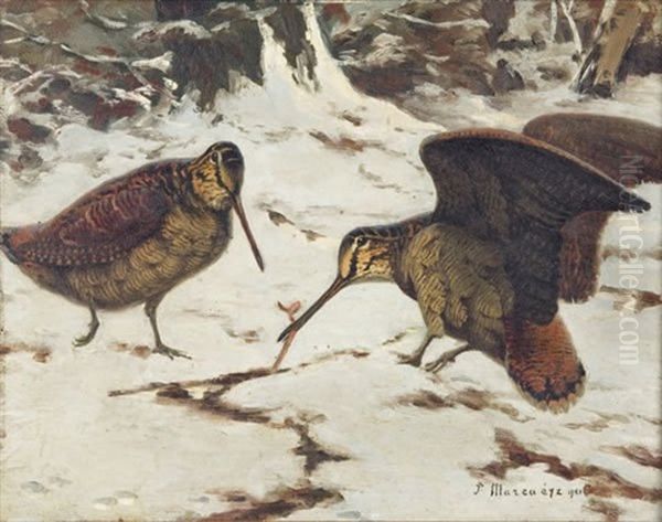 Deux Becasses - view 1