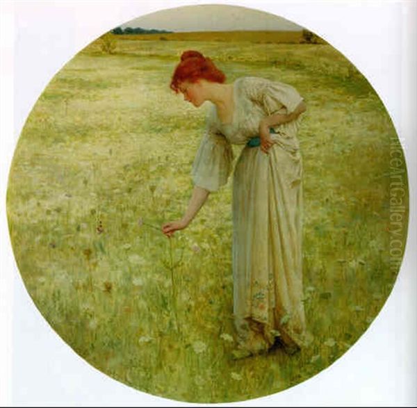 Wild Flowers - view 1