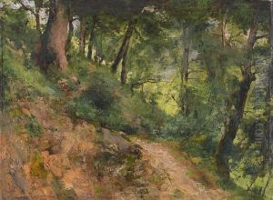 Lichter Gebirgswald by Eduard Hippolyte Margottet