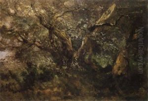 L'ulivo