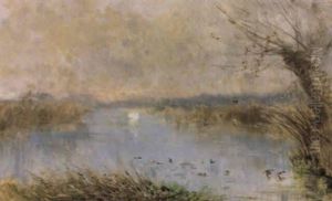 Anatre Nello Stagno Alla Zelanta Anatre Nello Stagno Alla Zelanta