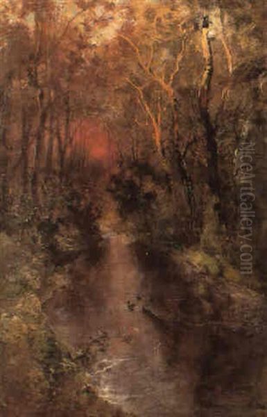Anatre Nello Stagno - view 1