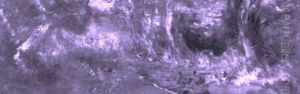 Laghetto Con Anatre Nel Bosco