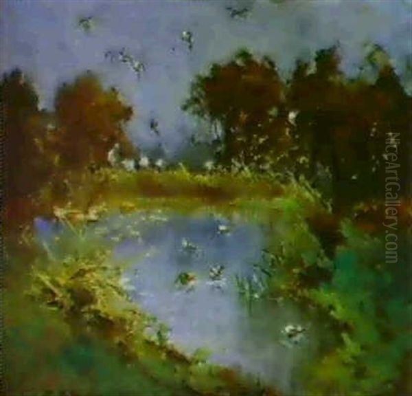 Alaccia - view 1
