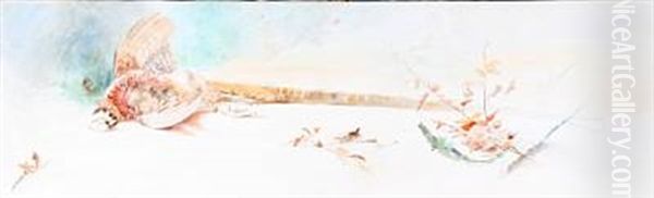 Nature Morte - view 1