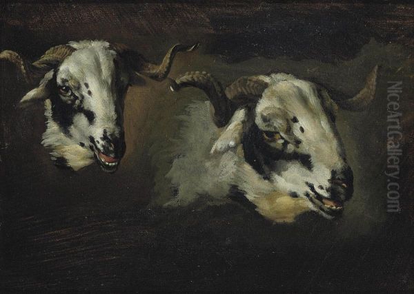 A Study Of Goat Heads - view 1