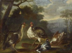 Wild Birds In A Forest by Nicasius Bernaerts