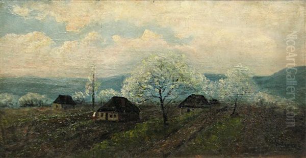 Rural Landscape - view 1