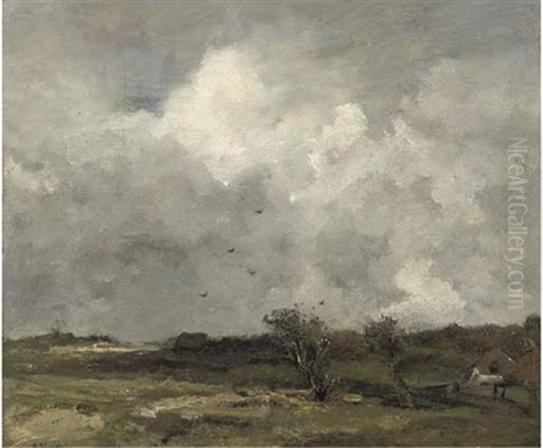 The Dunes - view 1