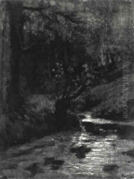 A Brook In A Forest, Oosterbeek - view 1