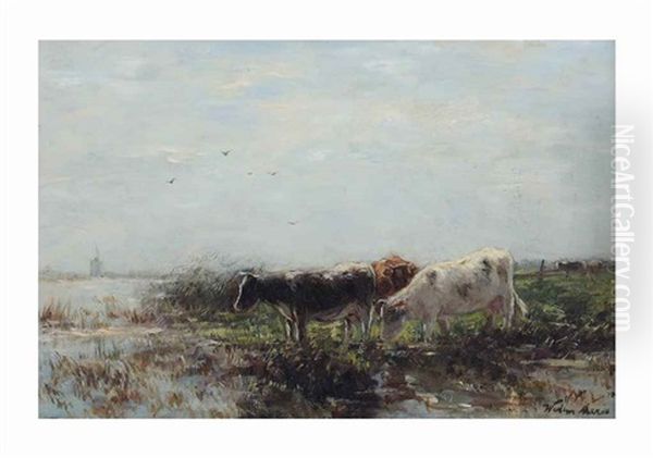 Cows On The River Bank - view 1