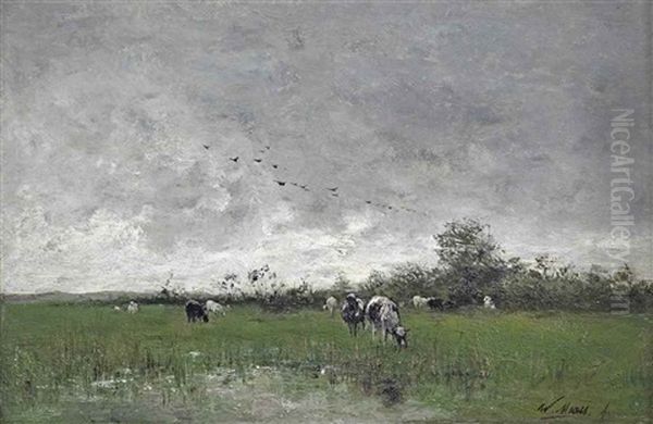 Cows Grazing In The Polder - view 1