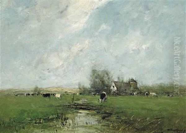 Cattle Grazing Near A Farm - view 1