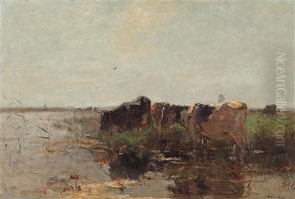 Cows Grazing Near A Stream - view 1