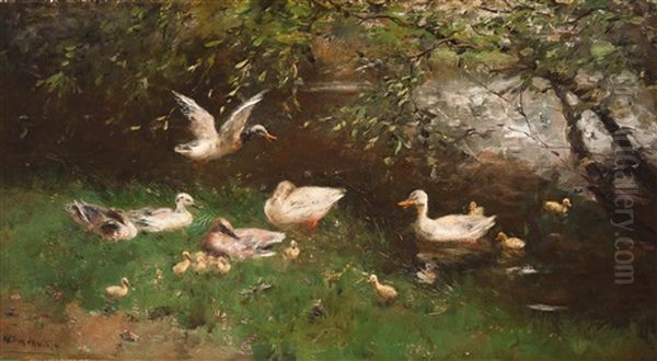Family Of Ducks By The Water's Edge - view 1