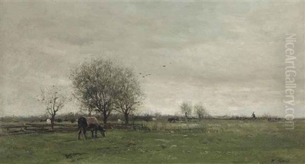 Cows In A Dutch Polder Landscape - view 1