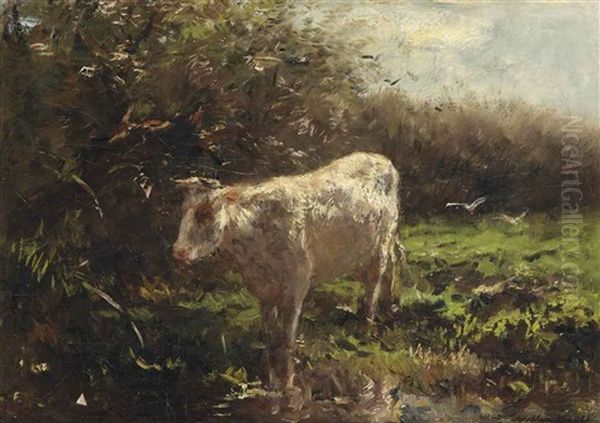 A Cow Near The Waterfront - view 1