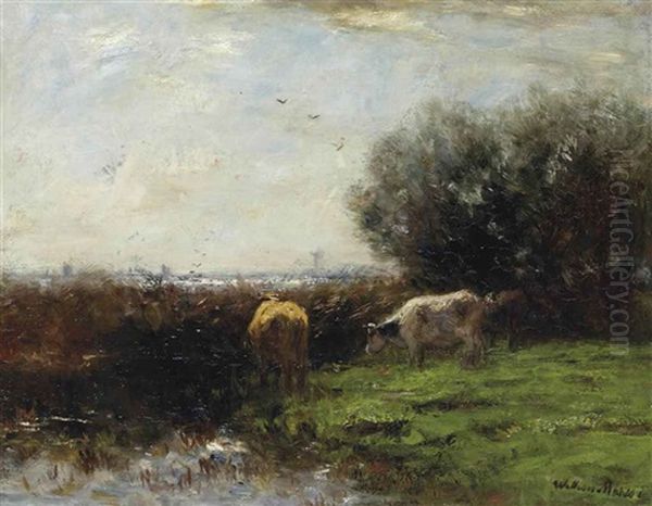 Cows In Dutch Polder Landscape - view 1