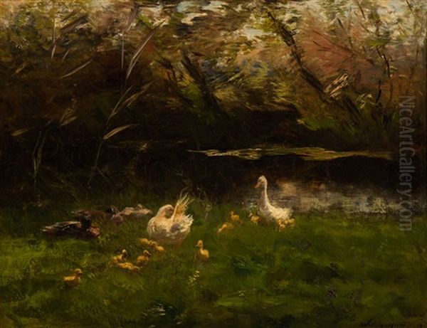 A Family Of Ducks By The Water - view 1