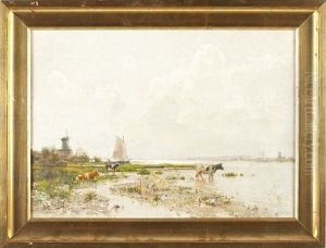 Polder Landscape