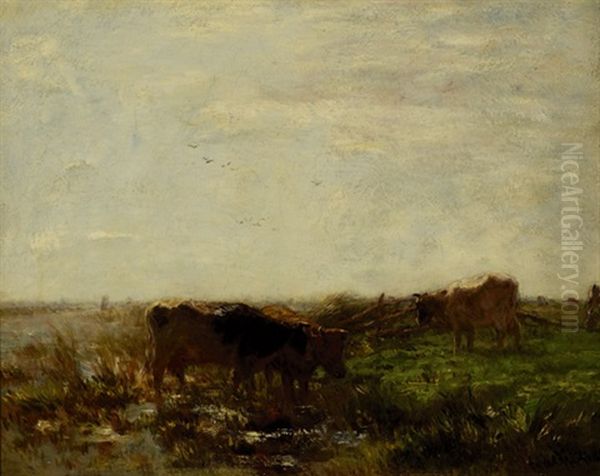 Cows On The Water's Edge In A Polderscape - view 1