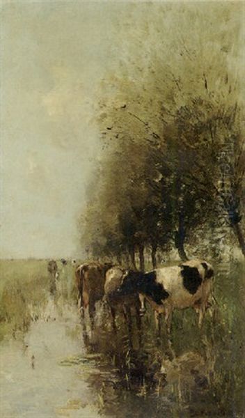 Cows Watering By Willows - view 1