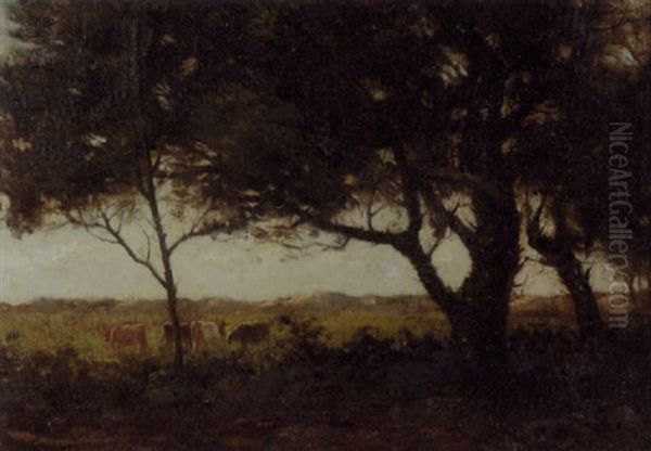 Grazing Cattle Behind The Dunes - view 1