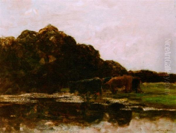 Cows Grazing - view 1