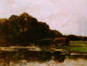 Cows Grazing