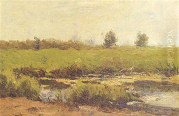 A Sunlit Pasture - view 1