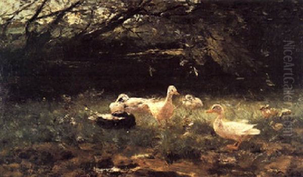 Ducks On A Riverbank - view 1