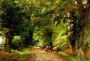 Cattle On A Wooded Path