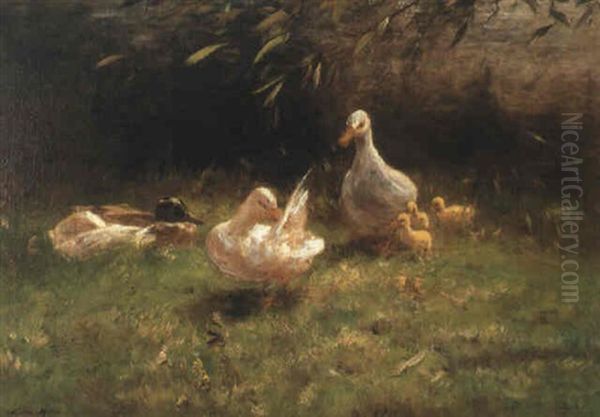 Ducks With Ducklings - view 1