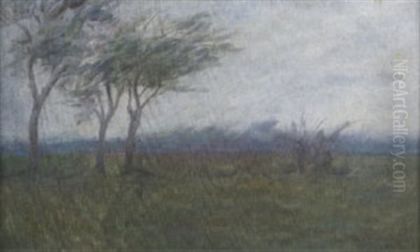 Wooded Landscape - view 1