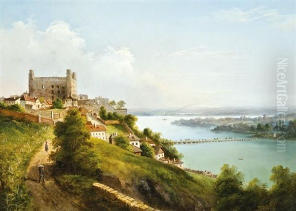 Pozsony Latkepe - view 1