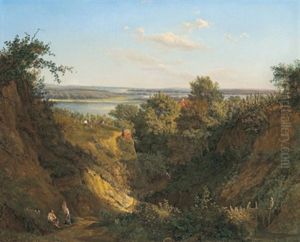 Blick Vom Nusberg Gegen Die Donau