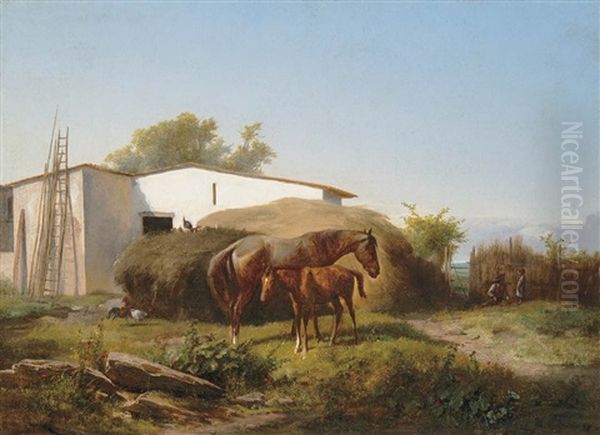 Horses - view 1