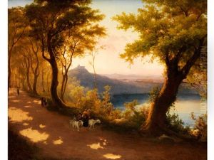 Von Der Abendsonne Beschienener Weg