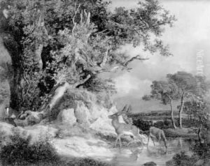 Paysage Avec Couple De Cervides S'abreuvant