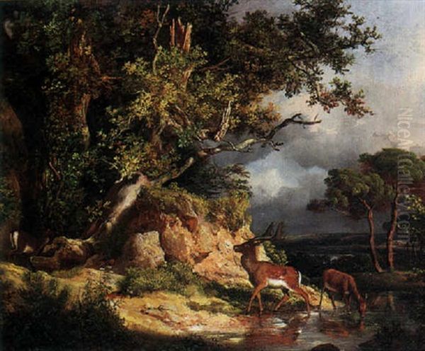 Deer Watering - view 1