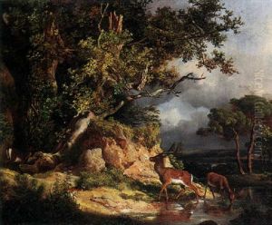 Deer Watering by Andras Marko