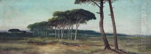 Campagna Romana Campagna Romana