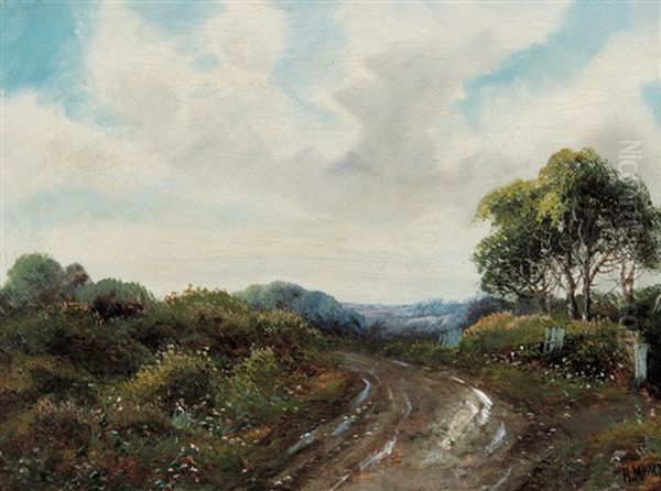 Campagna Toscana - view 1
